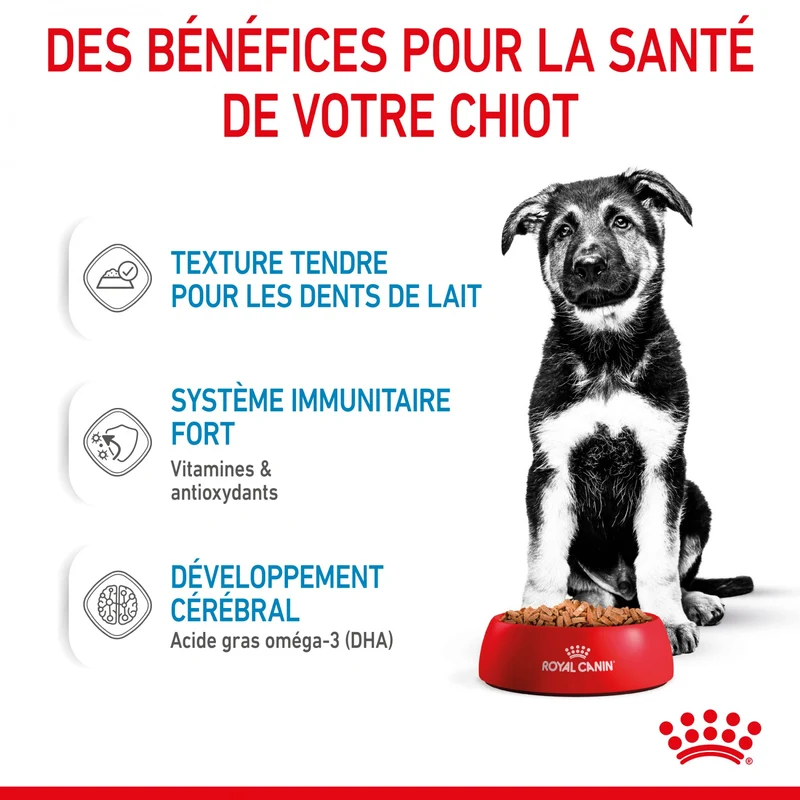 Royal Canin Maxi Puppy en Sauce - Pâtée pour chiot