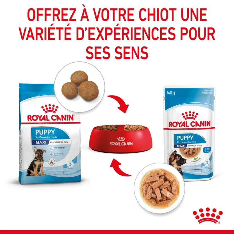 Royal Canin Maxi Puppy en Sauce - Pâtée pour chiot
