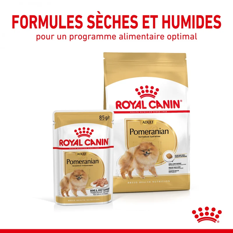 Royal Canin Pomeranian (Spitz Nain) Adult - Croquettes pour chien