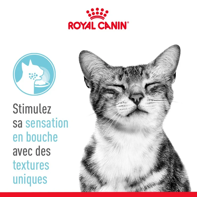 Royal Canin Sensory Feel