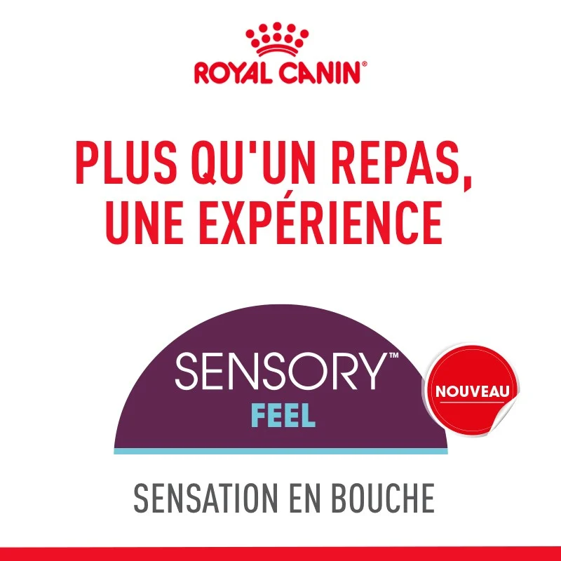 Royal Canin Sensory Feel
