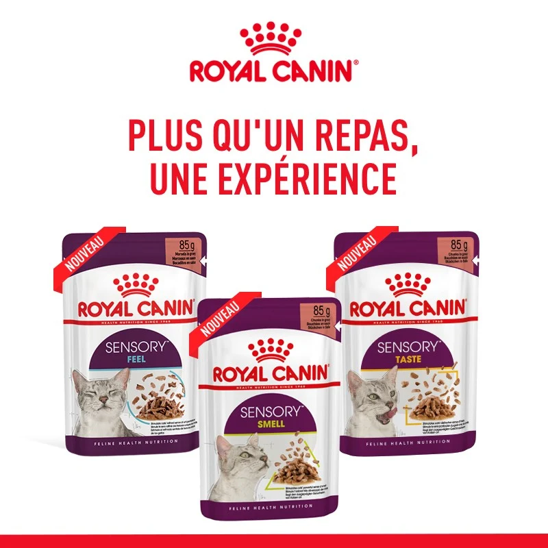 Royal Canin Sensory Multipack