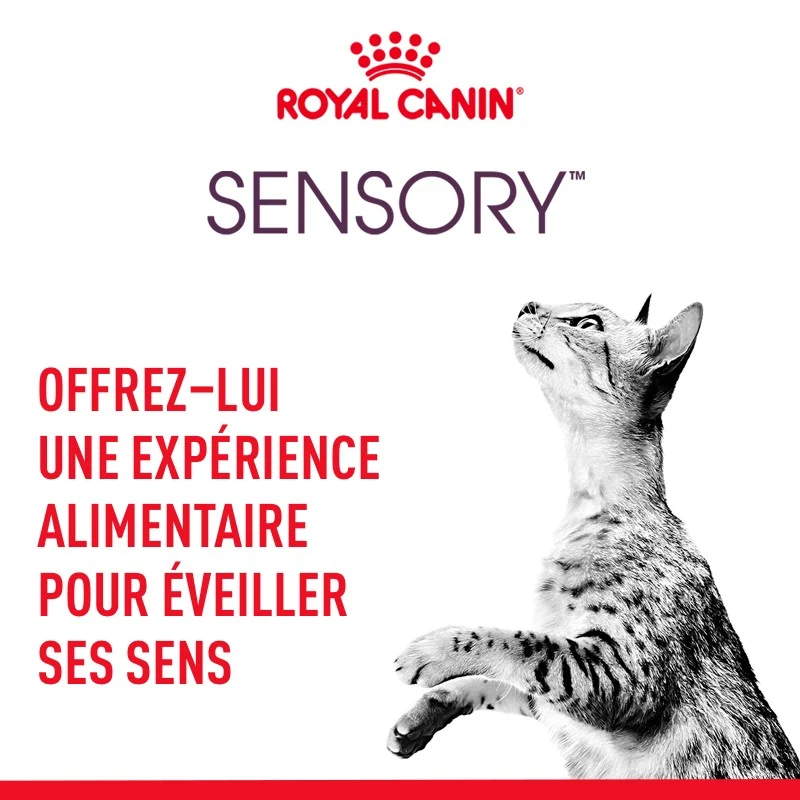 Royal Canin Sensory Multipack