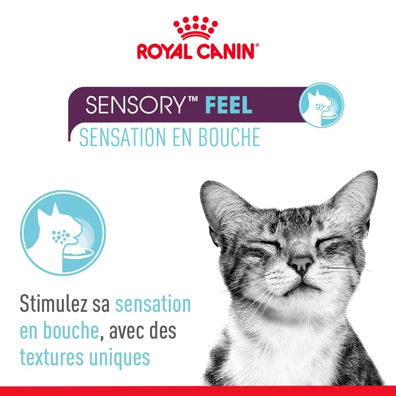 Royal Canin Sensory Multipack