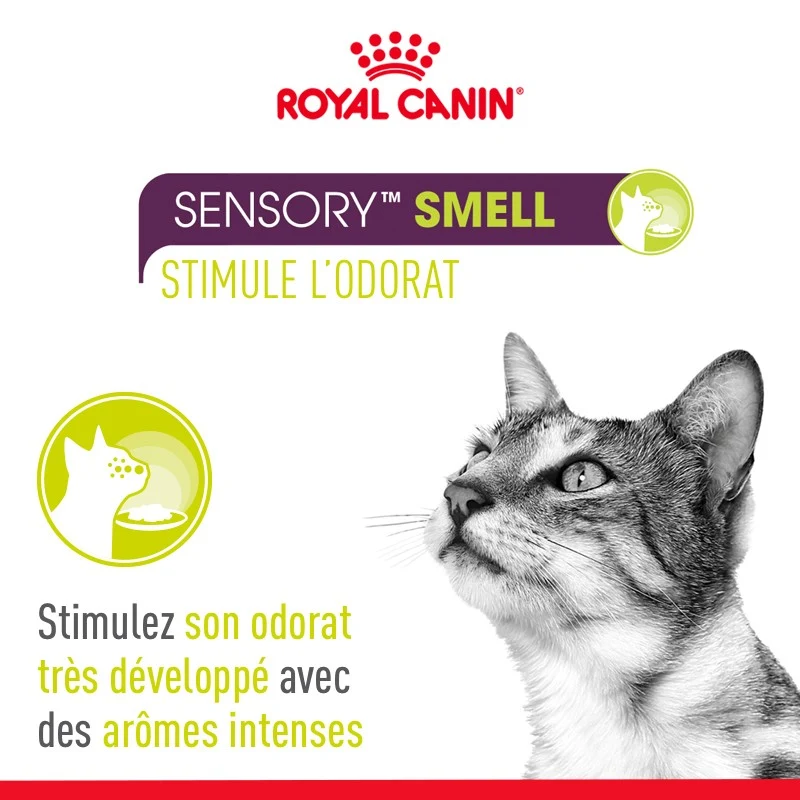 Royal Canin Sensory Multipack