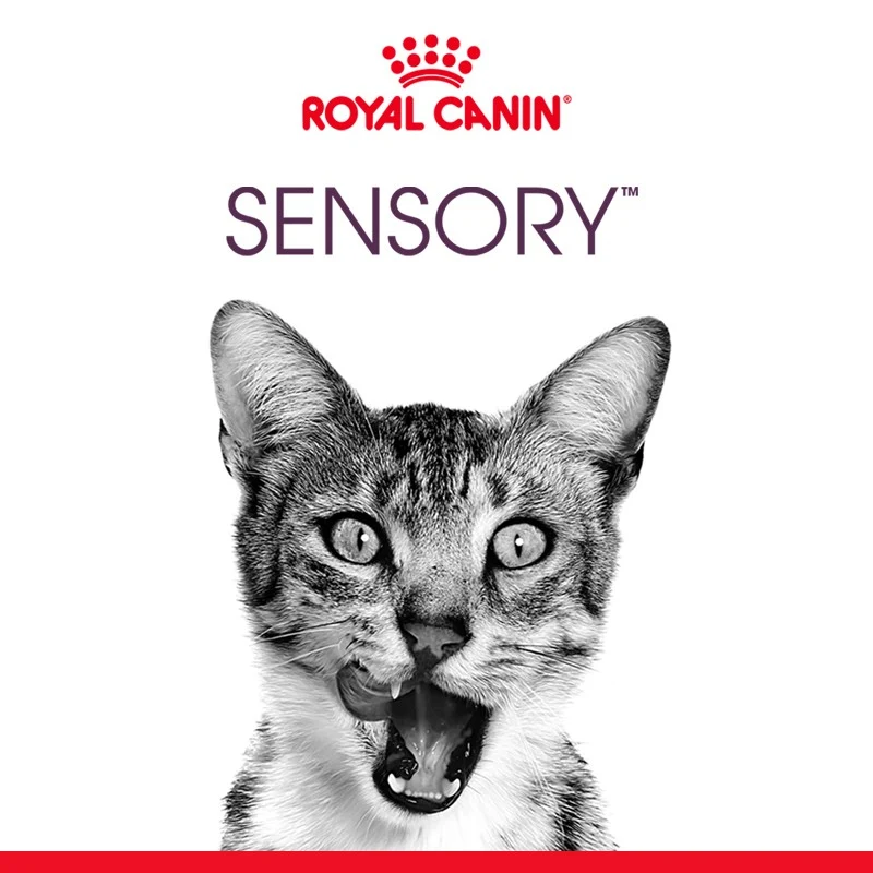 Royal Canin Sensory Taste