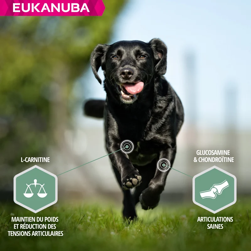 Eukanuba Daily Care Sensitive Joints