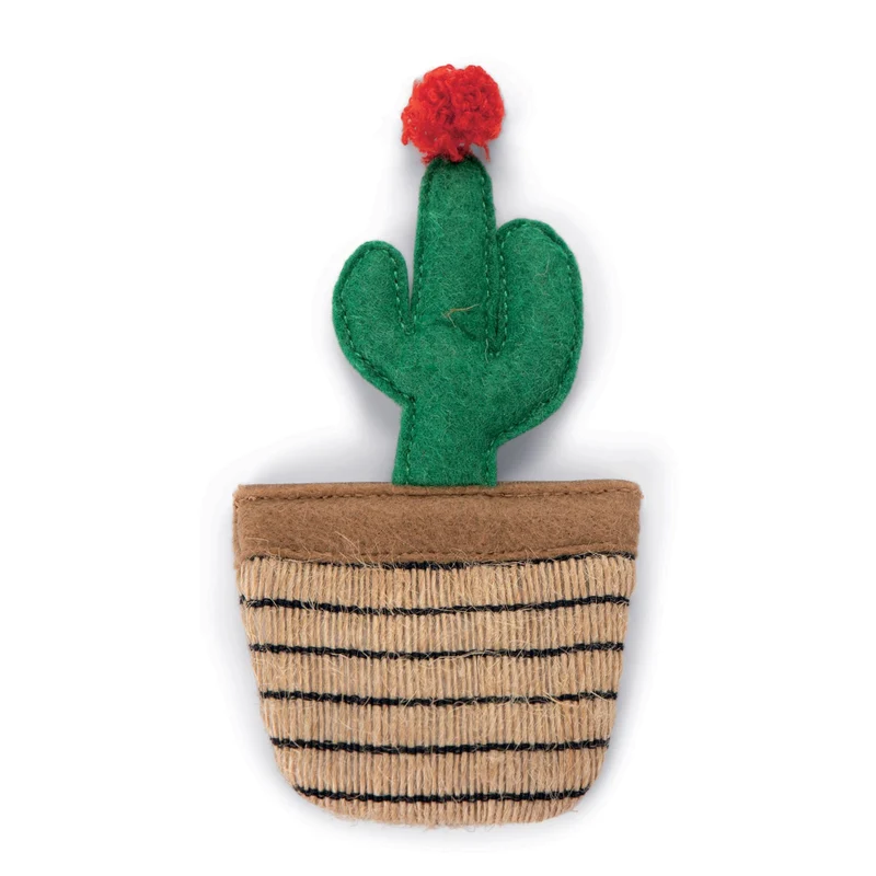 Cactus à l'herbe à chat