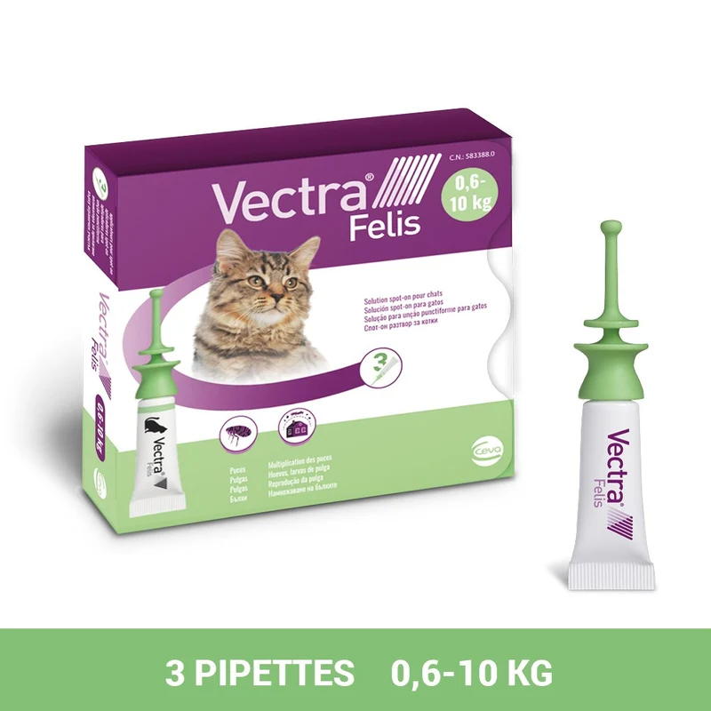 Pipettes anti-puces Vectra Felis Chat