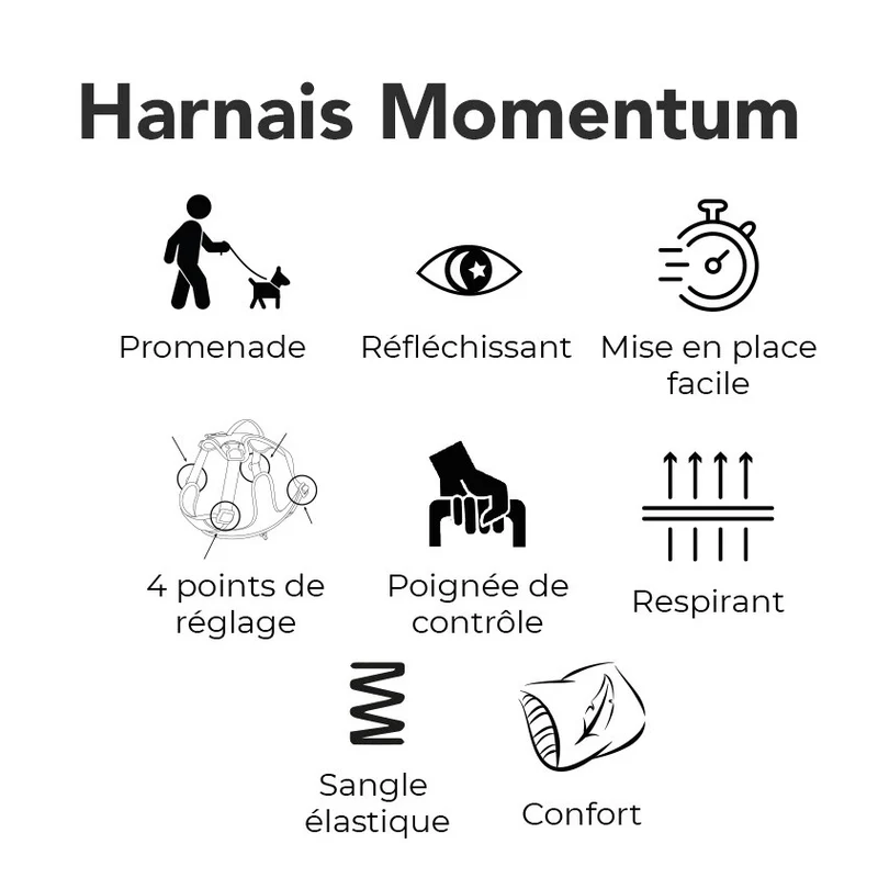 Harnais Momentum Noir