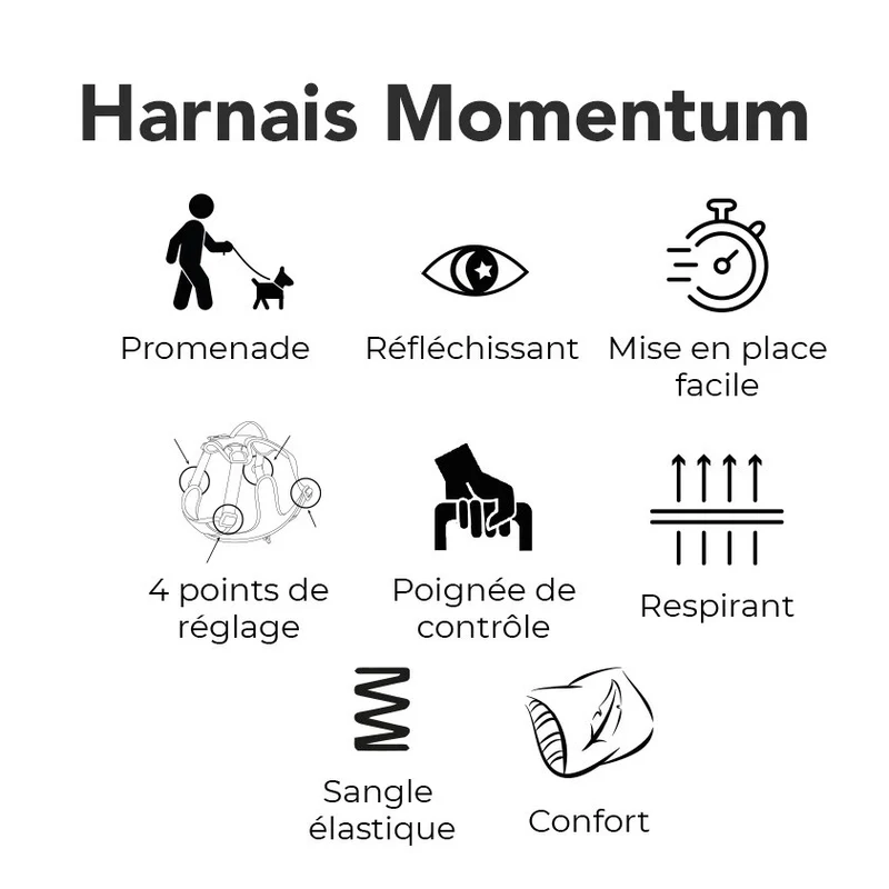 Harnais Momentum Noir