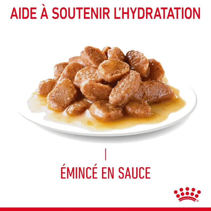 ROYAL CANIN Appetite Control Care en Sauce – Pâtée pour chat