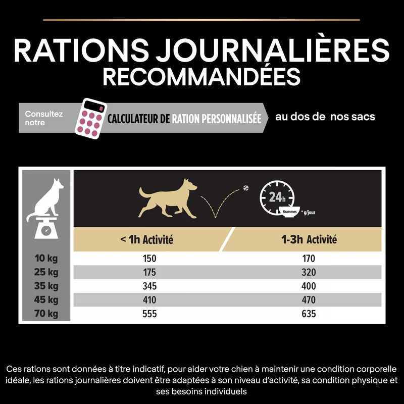 PRO PLAN Sensitive Skin Medium & Large Adult au Saumon - Croquettes pour chien