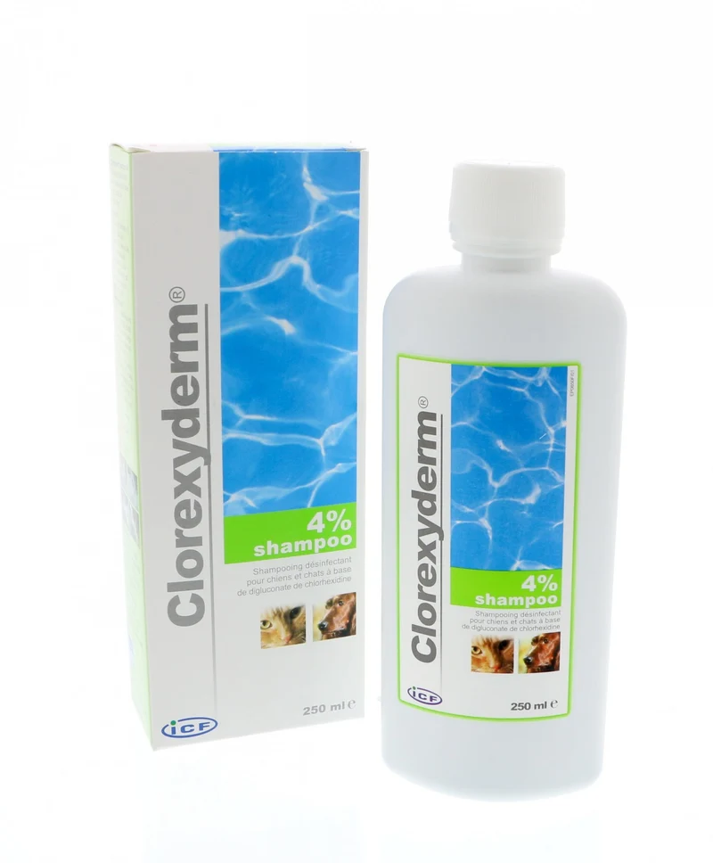 Chlorexyderm shampooing 4%