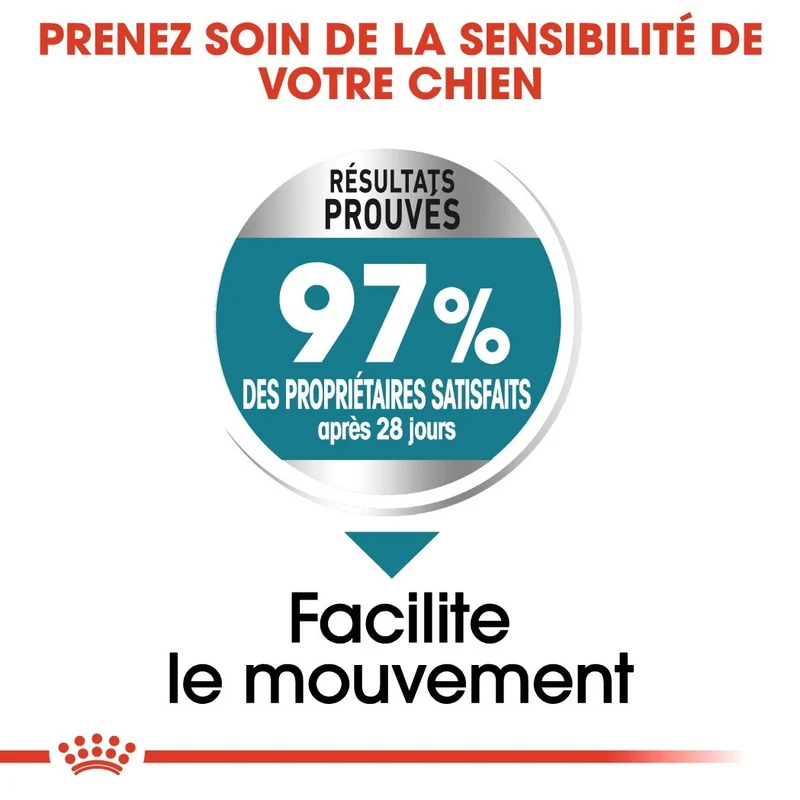 Royal Canin Maxi Joint Care - Croquettes pour chien