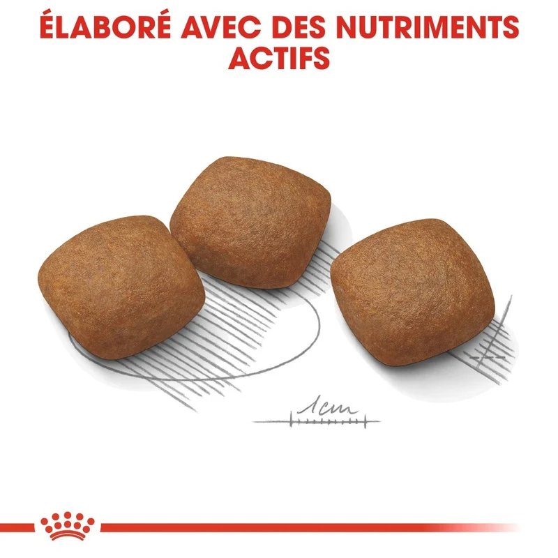 Royal Canin Maxi Joint Care - Croquettes pour chien