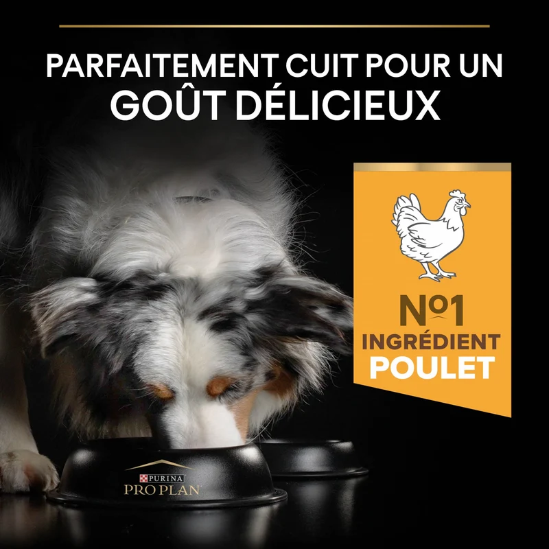 PRO PLAN Light/Sterilised All Sizes Adult au Poulet - Croquettes pour chien