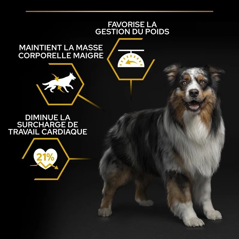 PRO PLAN Light/Sterilised All Sizes Adult au Poulet - Croquettes pour chien