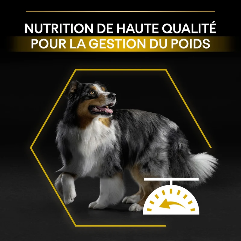 PRO PLAN Light/Sterilised All Sizes Adult au Poulet - Croquettes pour chien