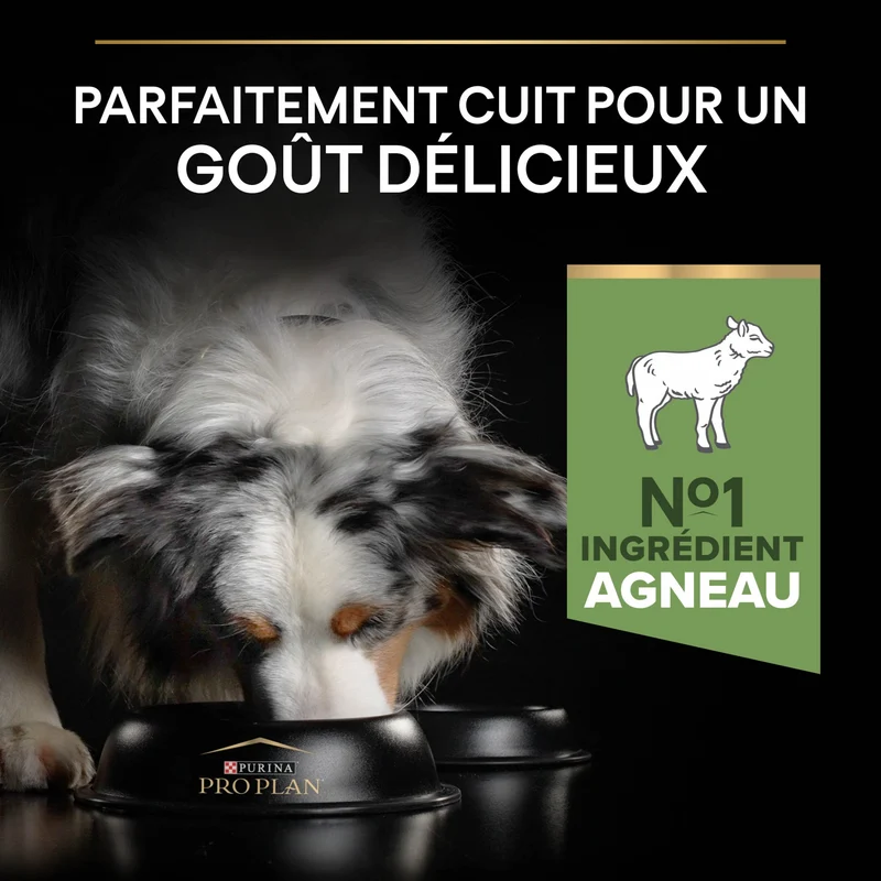 PRO PLAN Sensitive Digestion Medium Adult à l'Agneau - Croquettes pour chien