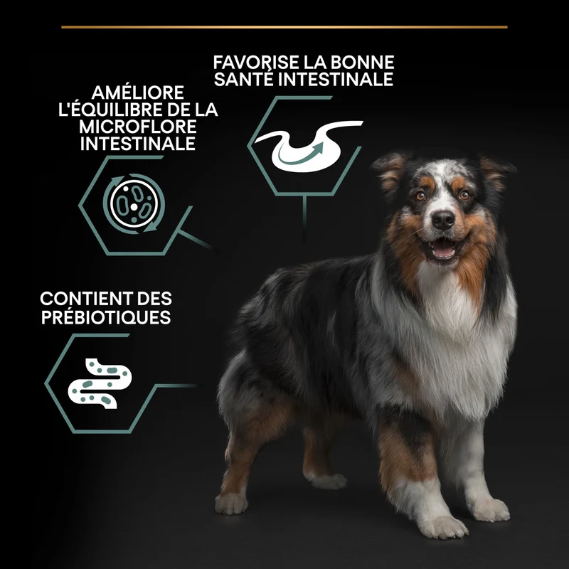 PRO PLAN Sensitive Digestion Medium Adult à l'Agneau - Croquettes pour chien