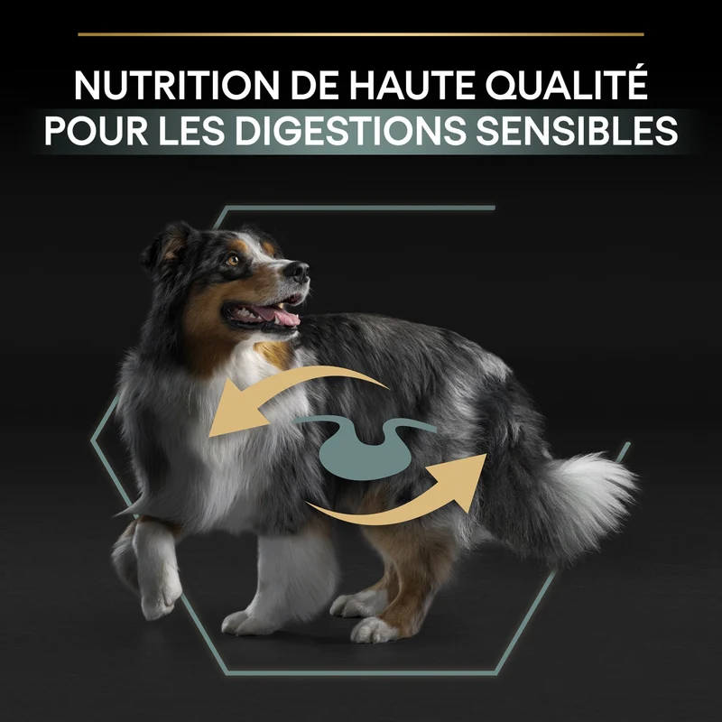 PRO PLAN Sensitive Digestion Medium Adult à l'Agneau - Croquettes pour chien