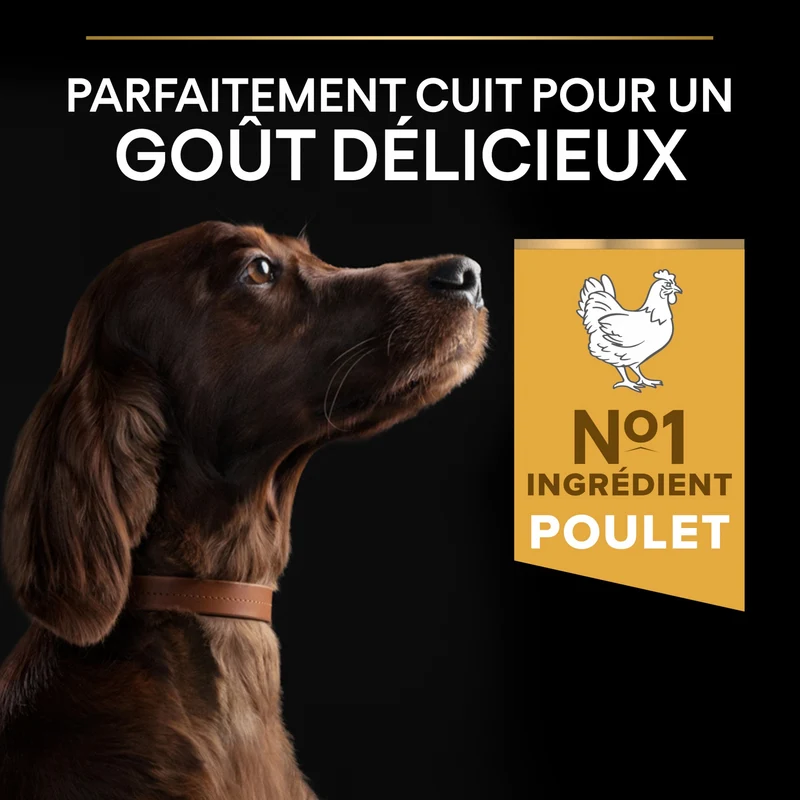 PRO PLAN Everyday Nutrition Large Athletic Adult au Poulet - Croquettes pour chien