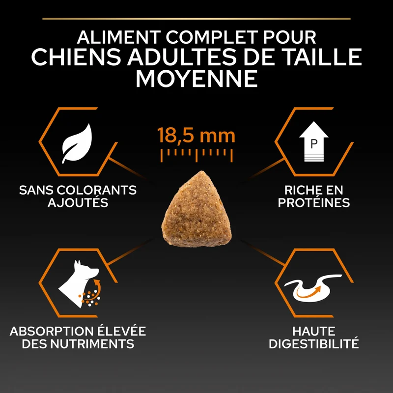 PRO PLAN Everyday Nutrition Large Athletic Adult au Poulet - Croquettes pour chien