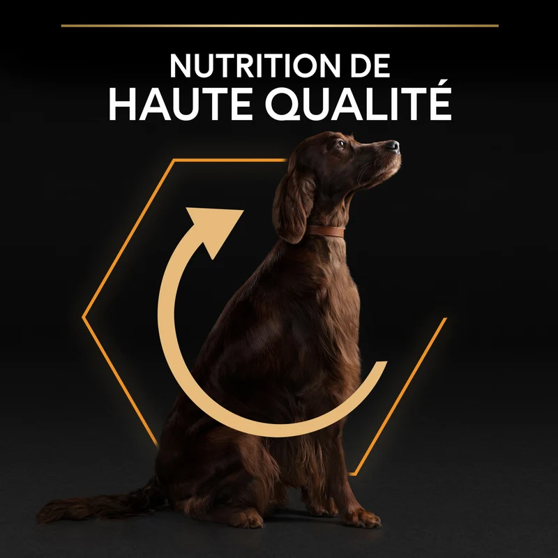 PRO PLAN Everyday Nutrition Large Athletic Adult au Poulet - Croquettes pour chien