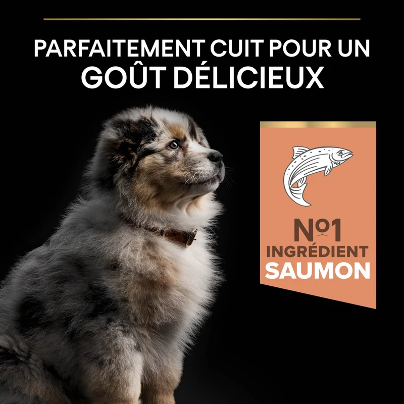 PRO PLAN Sensitive Skin Medium Puppy au Saumon - Croquettes pour chien