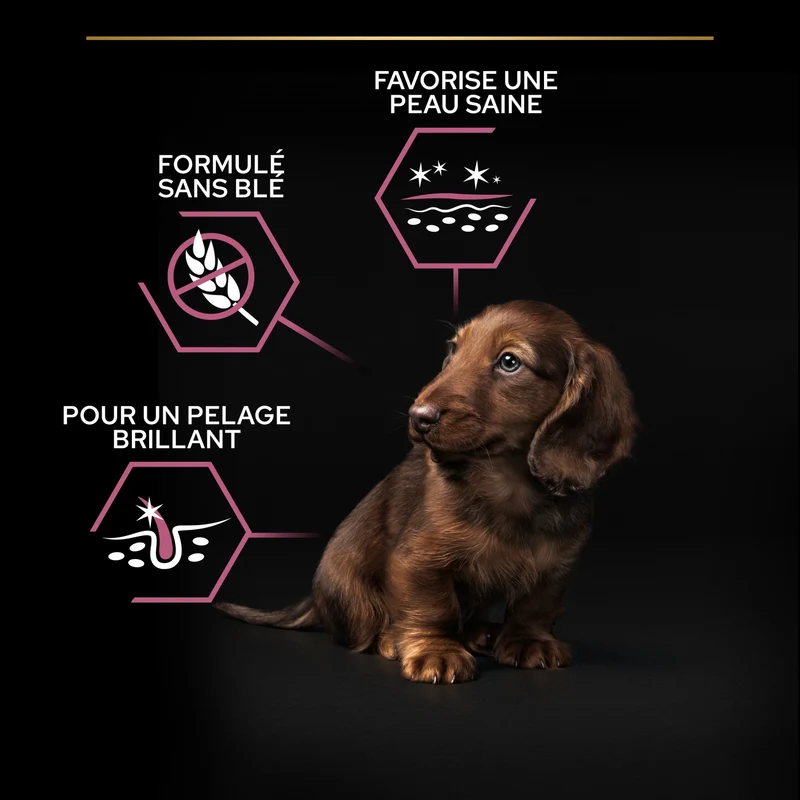 PRO PLAN Sensitive Skin Small & Mini Puppy au Saumon - Croquettes pour chien