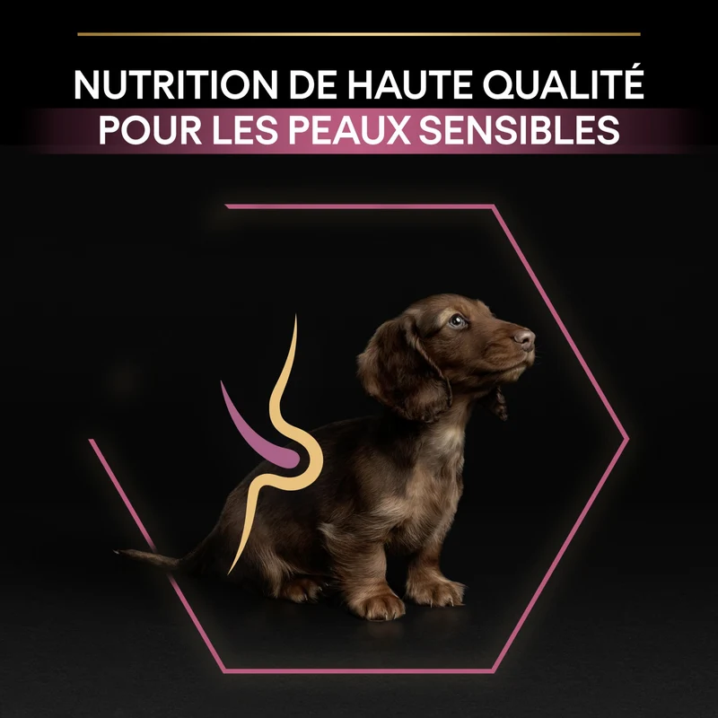 PRO PLAN Sensitive Skin Small & Mini Puppy au Saumon - Croquettes pour chien