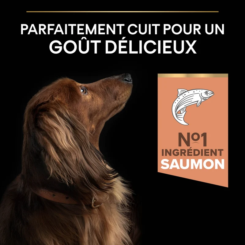 PRO PLAN Sensitive Skin Small & Mini Adult au Saumon - Croquettes pour chien