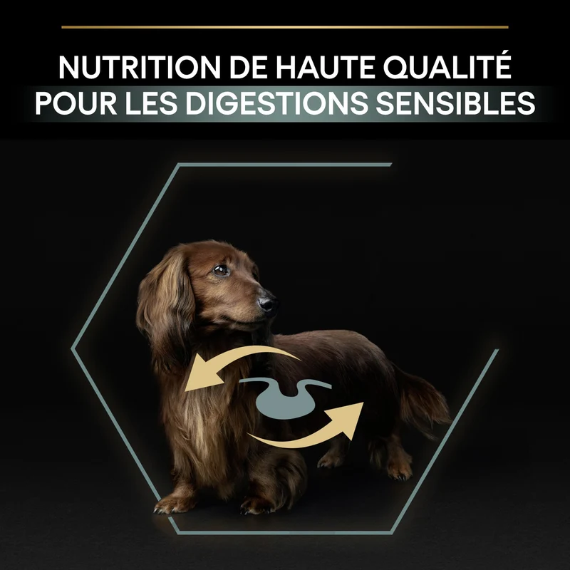 PRO PLAN Sensitive Digestion Small & Mini Adult à la Agneau- Croquettes pour chien