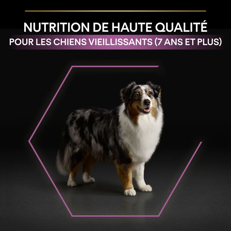 PRO PLAN Age Defence Medium & Large Adult au Poulet - Croquettes pour chien