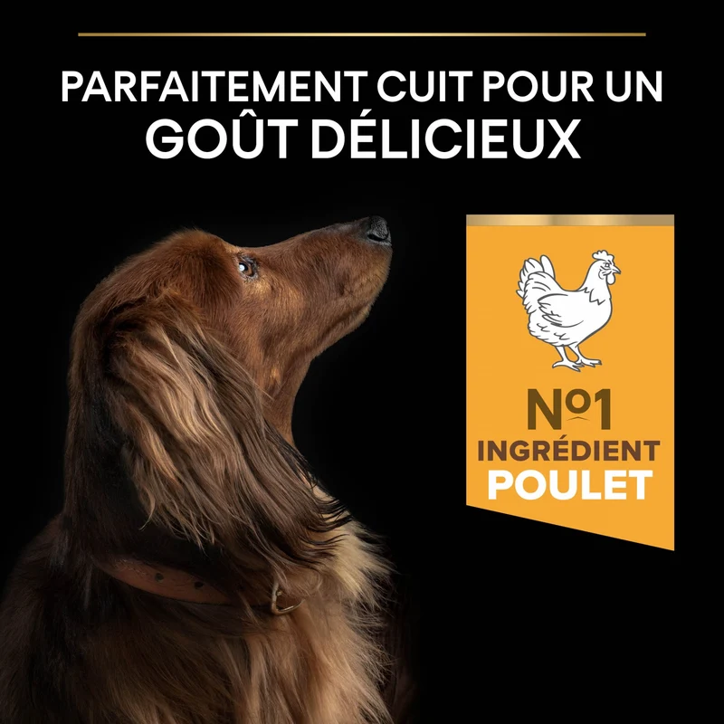 PRO PLAN Age Defence Small & Mini Adult au Poulet - Croquettes pour chien