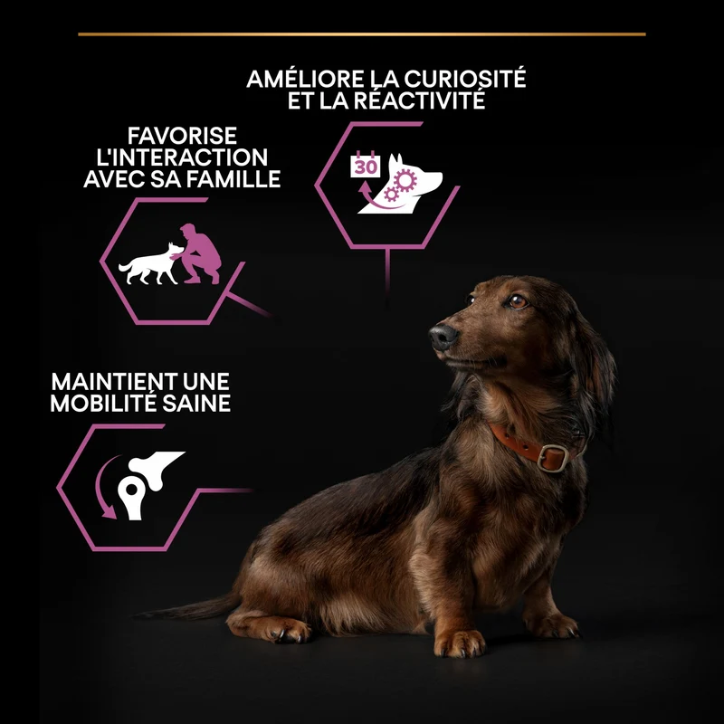 PRO PLAN Age Defence Small & Mini Adult au Poulet - Croquettes pour chien
