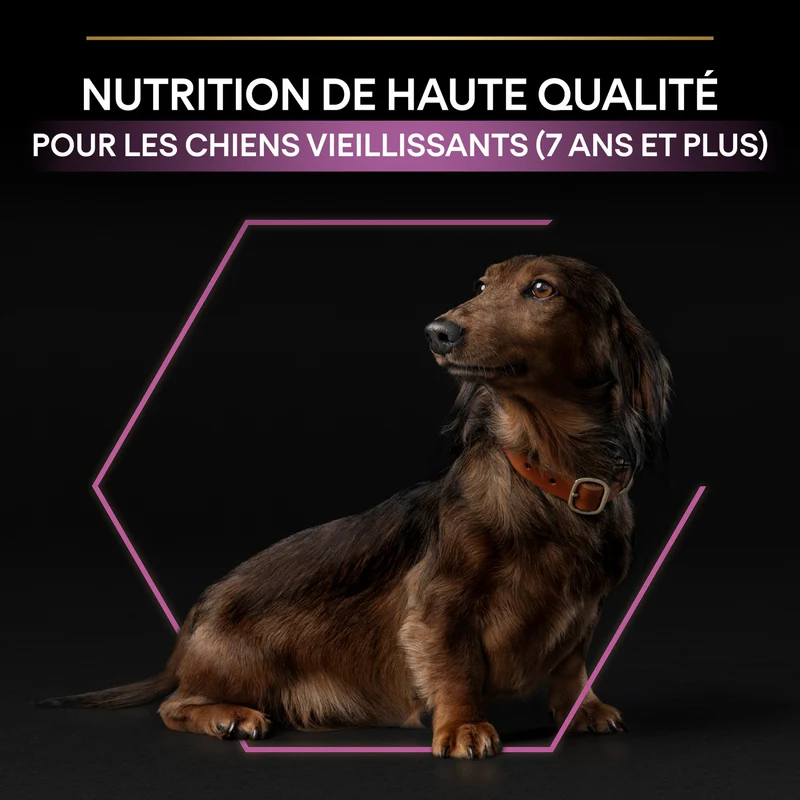 PRO PLAN Age Defence Small & Mini Adult au Poulet - Croquettes pour chien