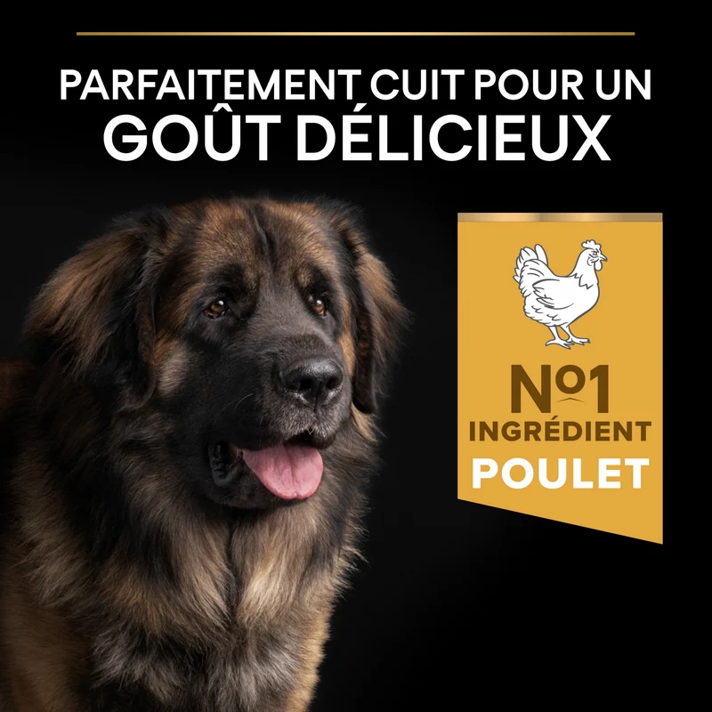 PRO PLAN Everyday Nutrition Large Robust Adult au Poulet - Croquettes pour chien