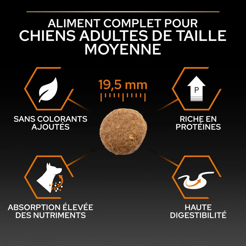 PRO PLAN Everyday Nutrition Large Robust Adult au Poulet - Croquettes pour chien
