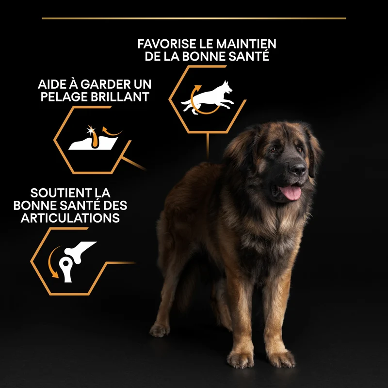 PRO PLAN Everyday Nutrition Large Robust Adult au Poulet - Croquettes pour chien