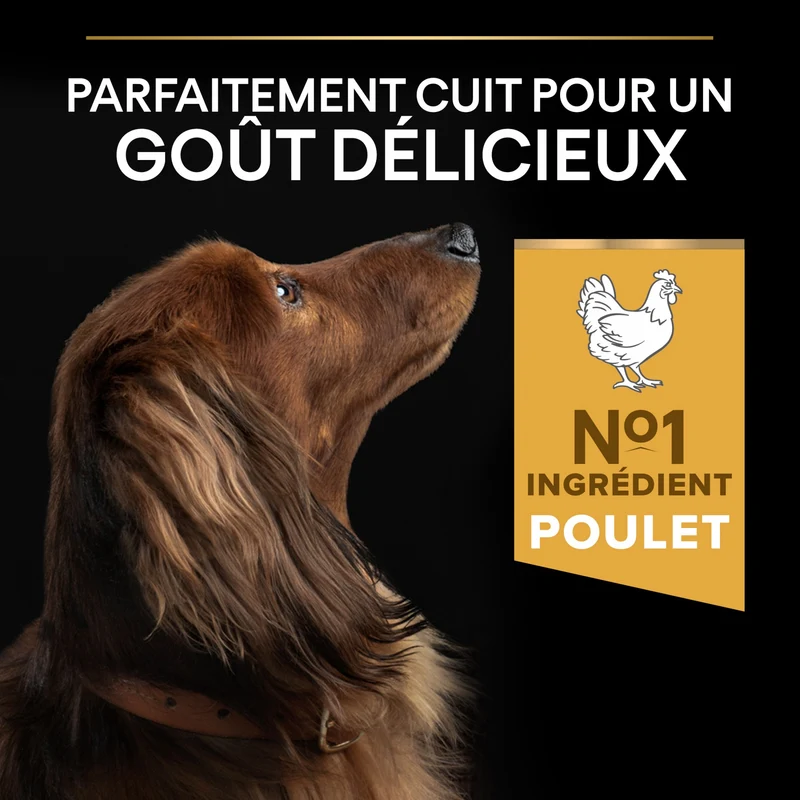 PRO PLAN Everyday Nutrition Small & Mini Adult au Poulet - Croquettes pour chien