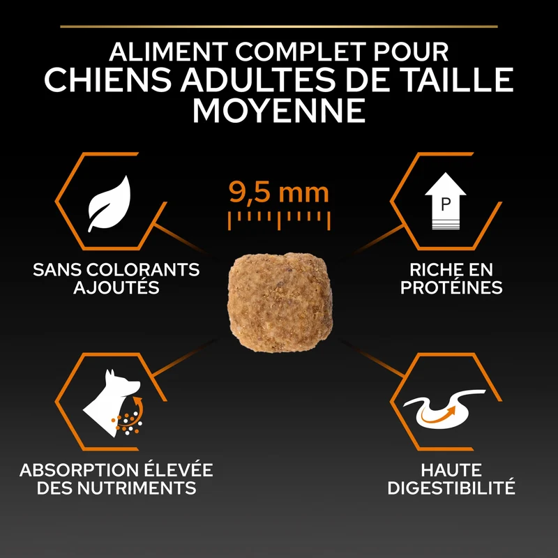 PRO PLAN Everyday Nutrition Small & Mini Adult au Poulet - Croquettes pour chien