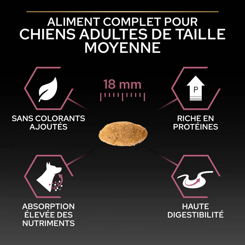 PRO PLAN Sensitive Skin Medium Adult au Saumon - Croquettes pour chien