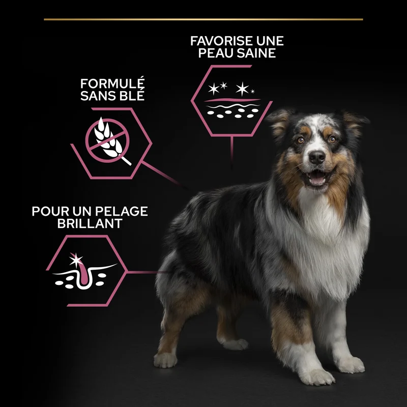 PRO PLAN Sensitive Skin Medium Adult au Saumon - Croquettes pour chien