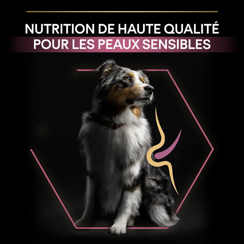 PRO PLAN Sensitive Skin Medium Adult au Saumon - Croquettes pour chien