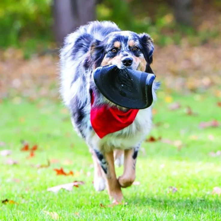 Frisbee Flyer Extreme