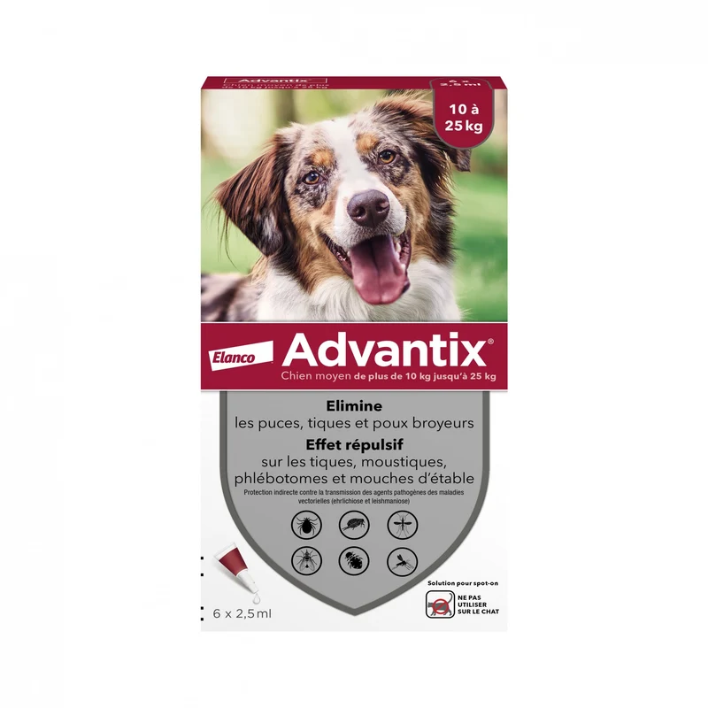 Pipettes Advantix chien
