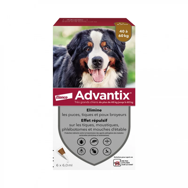 Pipettes Advantix chien