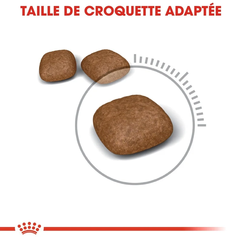 Royal Canin Urinary Care